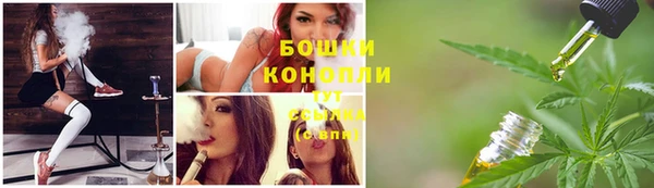 сатива Белокуриха