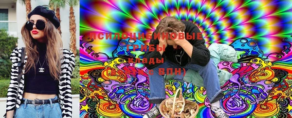 сатива Белокуриха